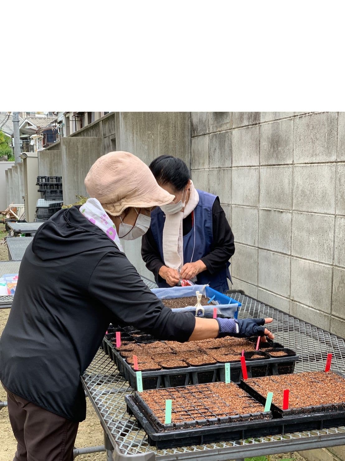 十三地域活動協議会