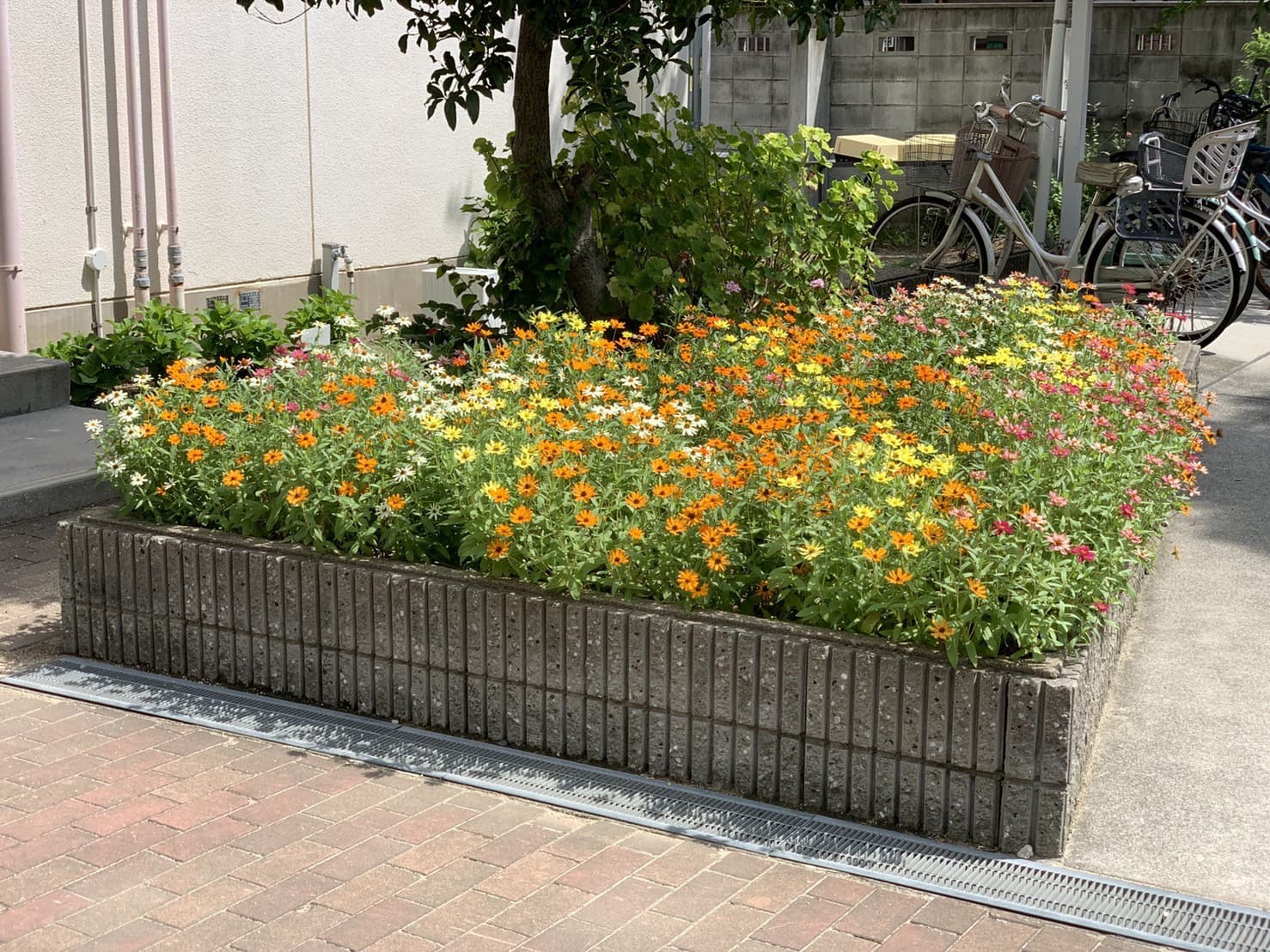 十三地域活動協議会